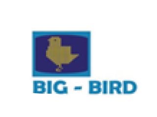 Big Bird